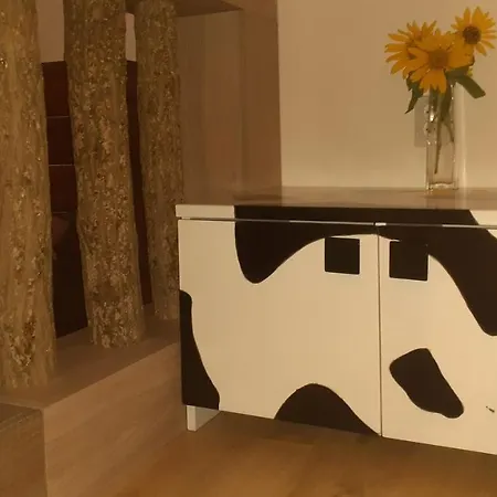 Moo Moo *